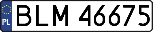BLM46675