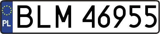BLM46955