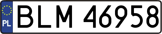 BLM46958