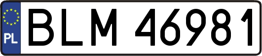 BLM46981