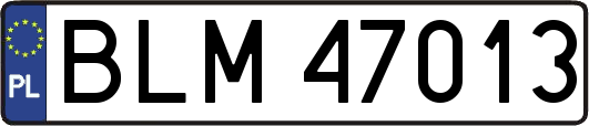 BLM47013