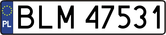 BLM47531