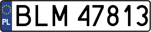 BLM47813