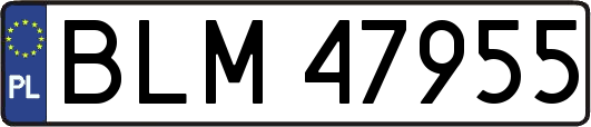 BLM47955
