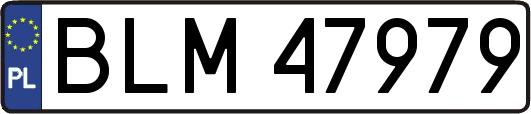 BLM47979