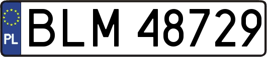 BLM48729