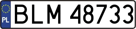 BLM48733
