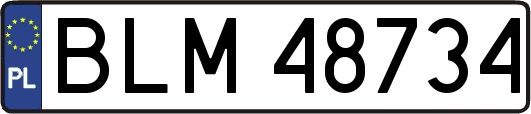 BLM48734
