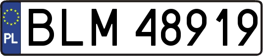 BLM48919