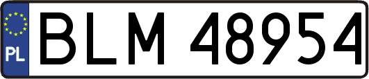 BLM48954