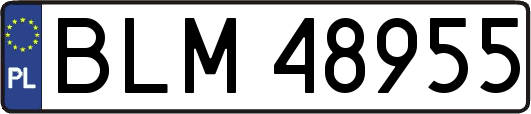 BLM48955