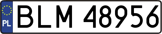 BLM48956