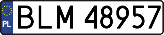 BLM48957