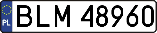BLM48960