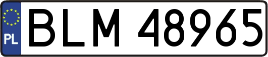 BLM48965