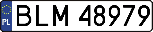 BLM48979