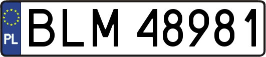 BLM48981