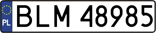 BLM48985