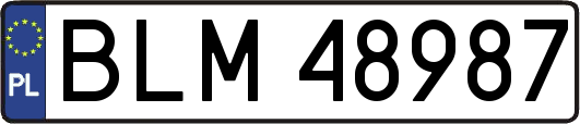 BLM48987