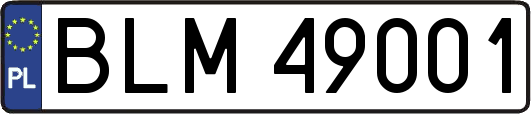 BLM49001