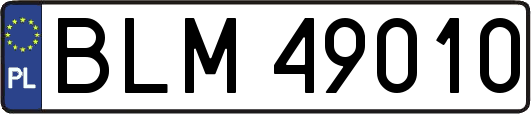 BLM49010
