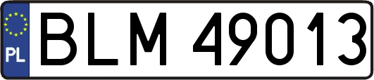 BLM49013