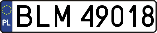 BLM49018