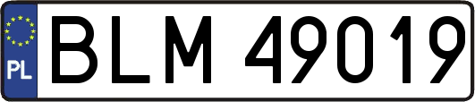 BLM49019
