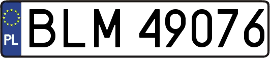 BLM49076