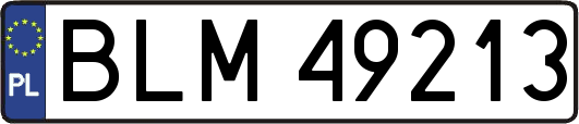 BLM49213