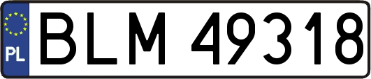 BLM49318