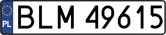 BLM49615