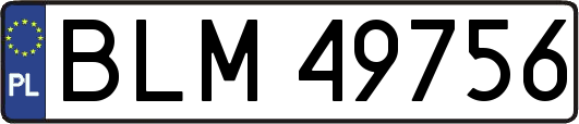 BLM49756