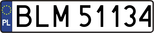 BLM51134