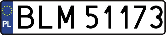 BLM51173