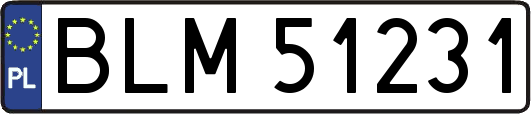 BLM51231