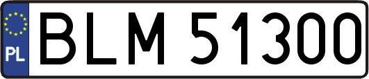 BLM51300