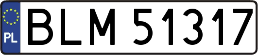 BLM51317