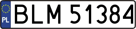 BLM51384