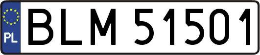 BLM51501