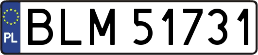 BLM51731