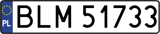 BLM51733