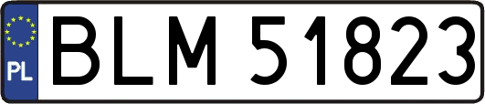 BLM51823