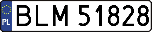 BLM51828