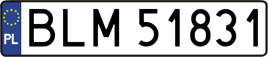 BLM51831