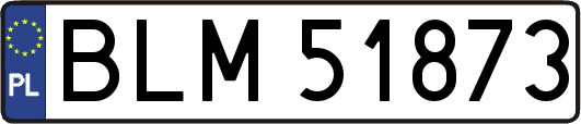 BLM51873