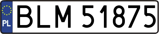 BLM51875