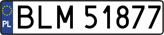 BLM51877