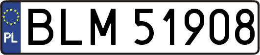 BLM51908
