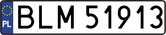 BLM51913